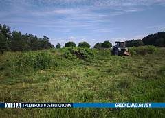 В Гродненском районе уничтожено более 6 тонн дикорастущей конопли