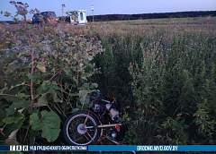 В Сморгонском районе произошло ДТП с двумя пострадавшими