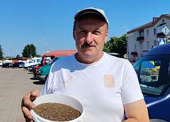Ромуальд Палейчик из Лидского района выращивает лекарственные травы