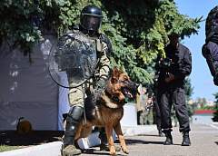 В Гродненской области прошли масштабные командно-штабные учения