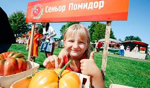 «Ивьевский помидор-2026». Программа праздника