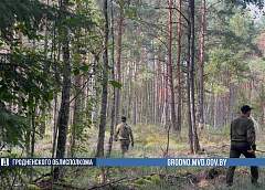 Под Гродно найдено тело пропавшего грибника