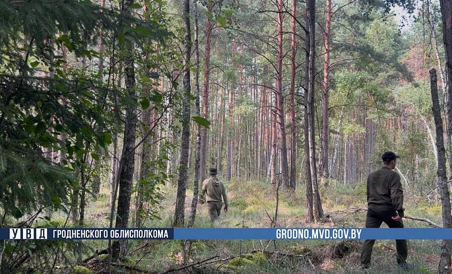 Под Гродно найдено тело пропавшего грибника