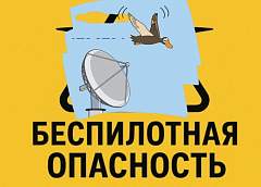 ВОЗДУШНАЯ ТРЕВОГА В ЛИТВЕ: как натовские истребители проиграли битву с перелетными гусями