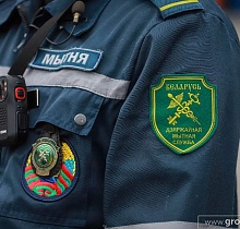 Что пытаются контрабандой провезти через границу: необычные находки гродненских таможенников
