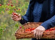 Главные приметы, запреты и традиции 1 октября