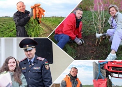 Спасение малыша в Залесье и сбор моркови в «Василишках». Чем живет регион