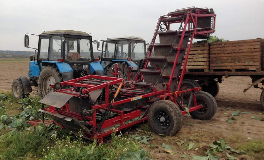 В Мостовском районе прошел испытания первый отечественный капустоуборочный комбайн