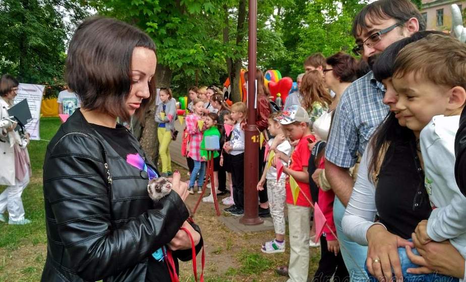 Праздник «В гостях у хорька» прошел в городском парке имени Жилибера в Гродно