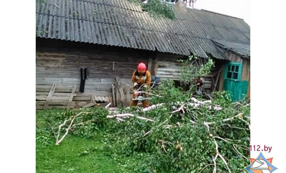 На Гродненщине завершается ликвидация последствий непогоды, которая прошлась в конце прошлой недели