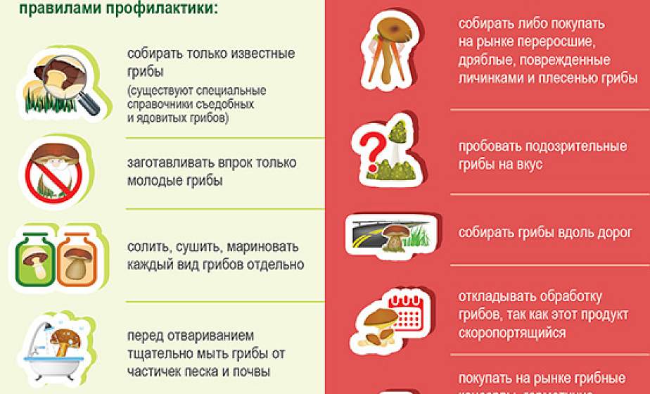 Опасности тихой охоты: в области зафиксированы  случаи отравления грибами