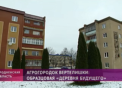 Видео: агрогородок Вертелишки - образцовая «деревня будущего»