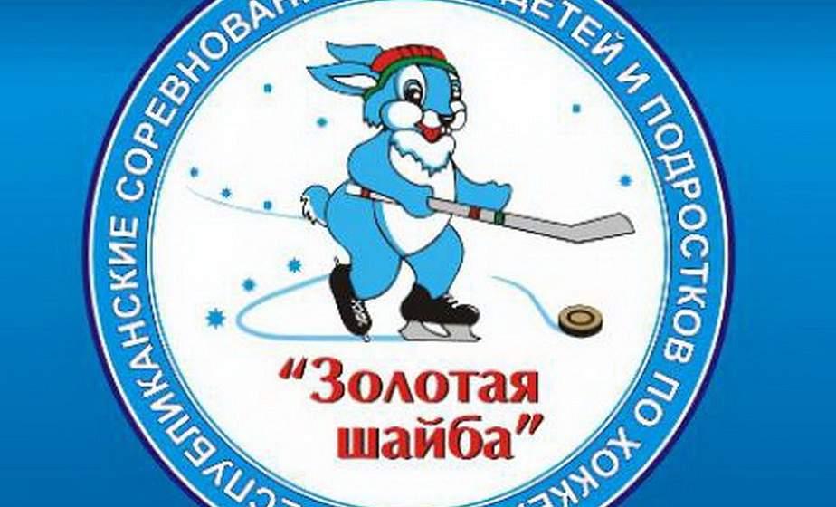 «Золотая шайба». На Гродненщине стартует областной турнир по хоккею