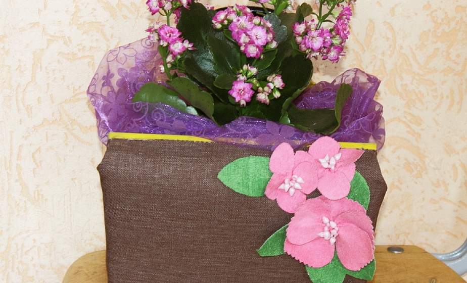 Цветочное настроение. В областном эколого-биологическом центре можно увидеть «цветущие» шкатулки и весенние клумбы в миниатюре