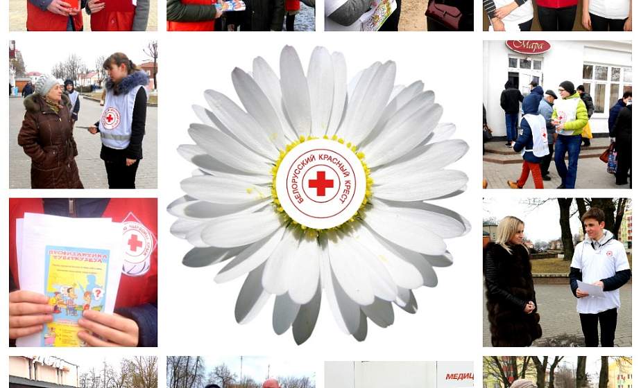 Ромашковый чай в Гродно и День белого цветка в Слониме. Как волонтеры Красного Креста провели Международный день борьбы с туберкулезом
