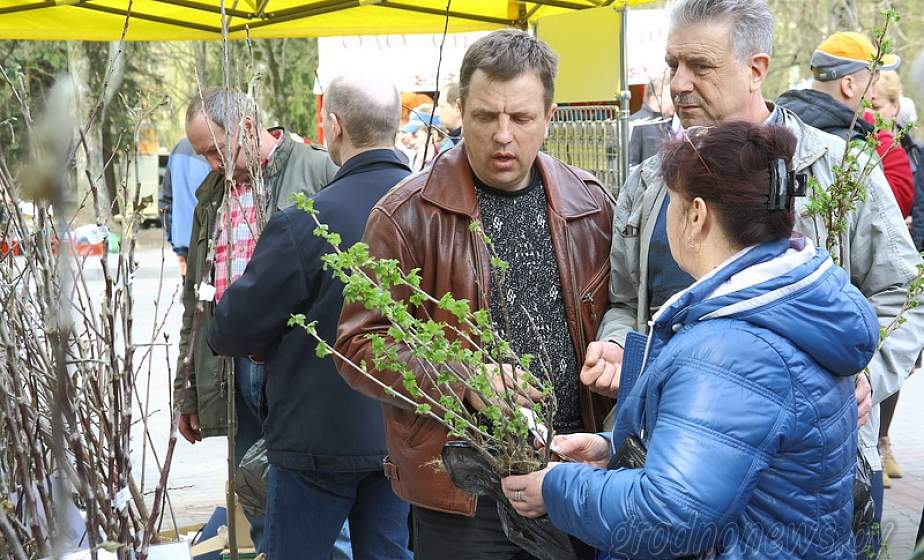 «Агровесна-2018». Традиционная  выставка-ярмарка  пройдет в Гродно