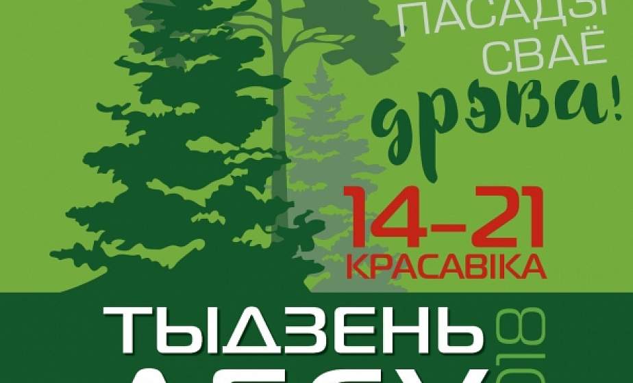 Расти большой! В Неделю леса на Гродненщине высадят порядка четырех миллионов деревьев