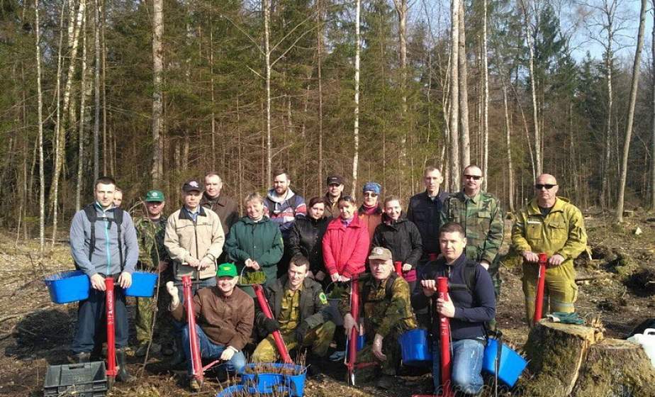 Более семи с половиной тысяч жителей Гродненщины примут участие в  «Неделе леса»