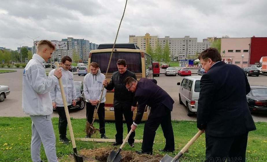 В микрорайоне Девятовка высадили аллею к 40-летию Ленинского района Гродно