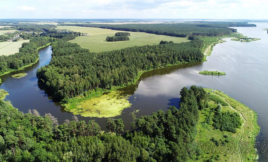 Королевская охота, клад в 6 тысяч монет и лесные деревни: в проекте «Гродненщина синеокая» путешествуем по Котре
