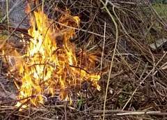 В Лидском районе мужчина получил ожоги, когда сжигал мусор на даче
