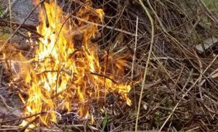 В Лидском районе мужчина получил ожоги, когда сжигал мусор на даче