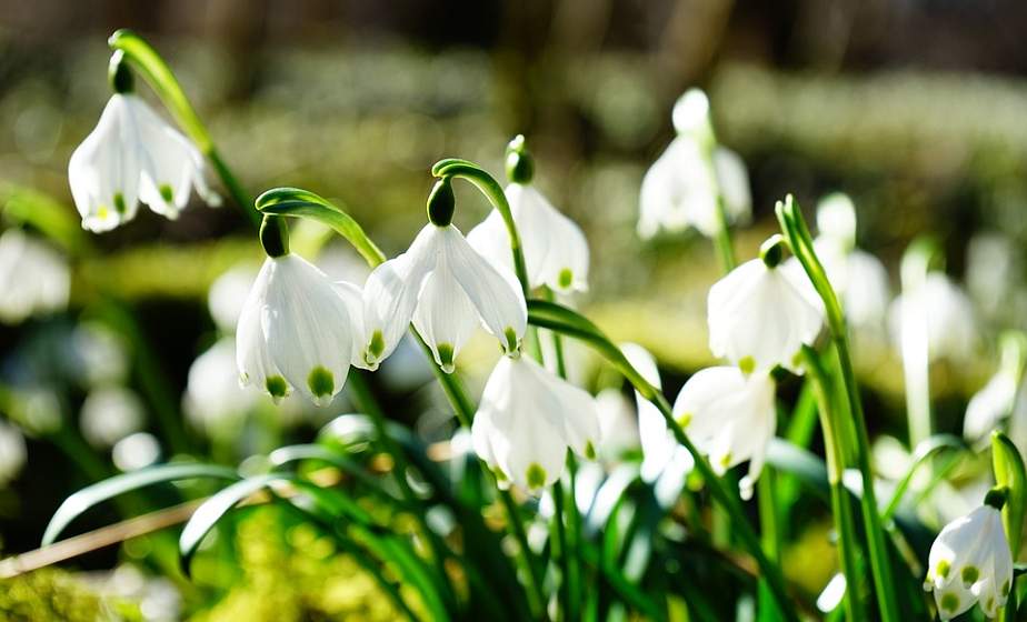 Порывистый ветер и до +16°С прогнозируют в Беларуси 17 апреля
