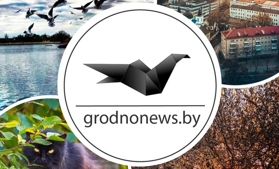 Цветущий Гродно, кот и огненные закаты: топ-10 атмосферных фото из соцсетей