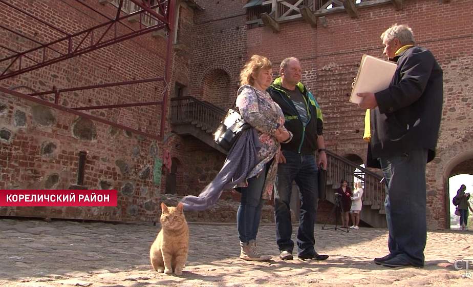 «В княжеском дворе обедают»: в Мирском замке двух котов собираются нанять на работу