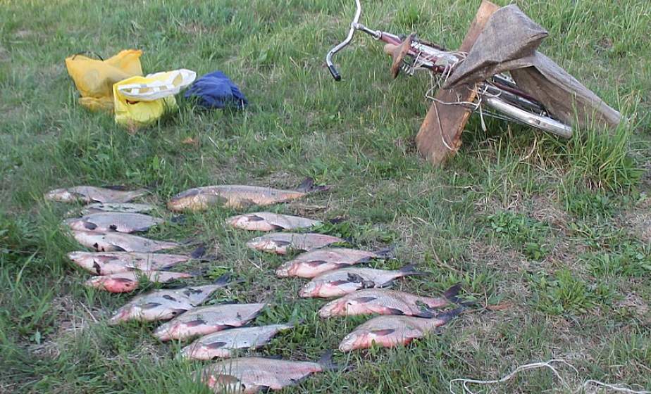 В Гродненской области следователи возбудили несколько уголовных дел по фактам браконьерства 