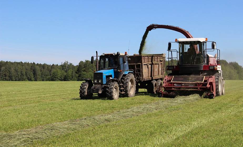 Первый укос. Как в Берестовицком районе заготавливают корма