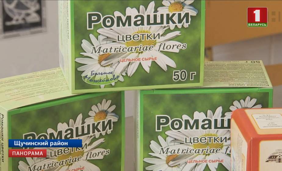 В совхозе "Большое Можейково" под цветки ромашки выделено более 300 гектаров