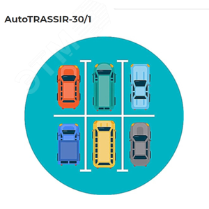 Система распознавания автономеров до 30 км/ч 1 канал AutoTRASSIR-30/1 TRASSIR