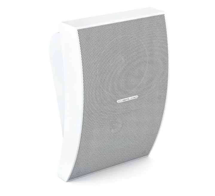 Громкоговоритель CVGaudio WPA10TW