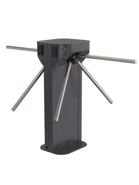 Электронная проходная АП Т283М1 IP (Matrix II MF) 0850-05