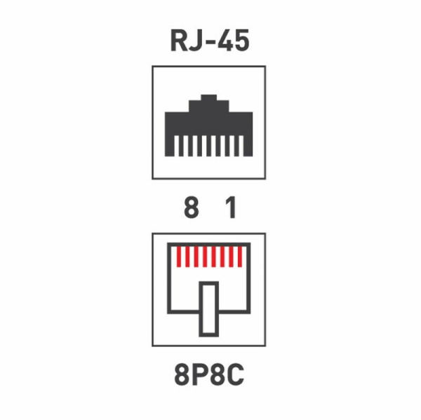 06-0105-C ∙ Розетка сетевая LAN, на стену, (2 гнездо 8Р8С (Rj-45), 5e кат) Rexant ∙ кратно 10 шт