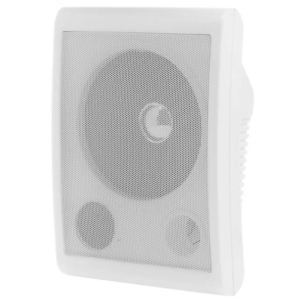 Громкоговоритель TSo-SW6a