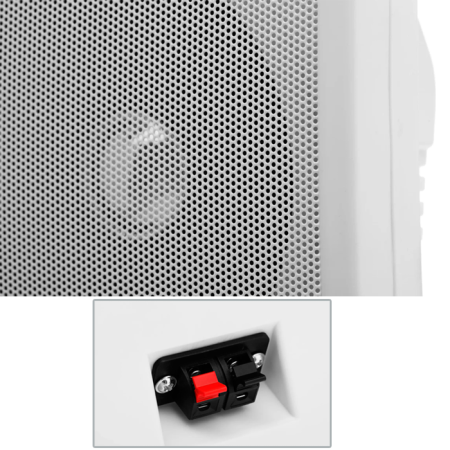 Громкоговоритель TSo-SW6a