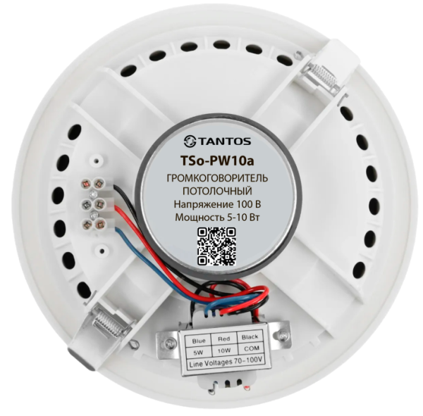Громкоговоритель TSo-PW10a