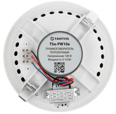 Громкоговоритель TSo-PW10a