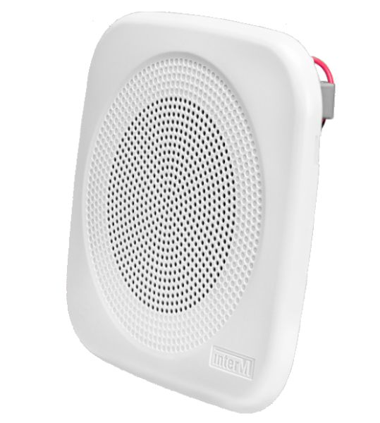 Оповещатель речевой CS-303FQ
