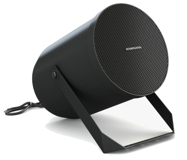 Громкоговоритель CVGaudio SPP6TBL