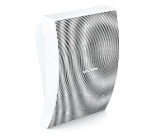 Громкоговоритель CVGaudio WPA10TW