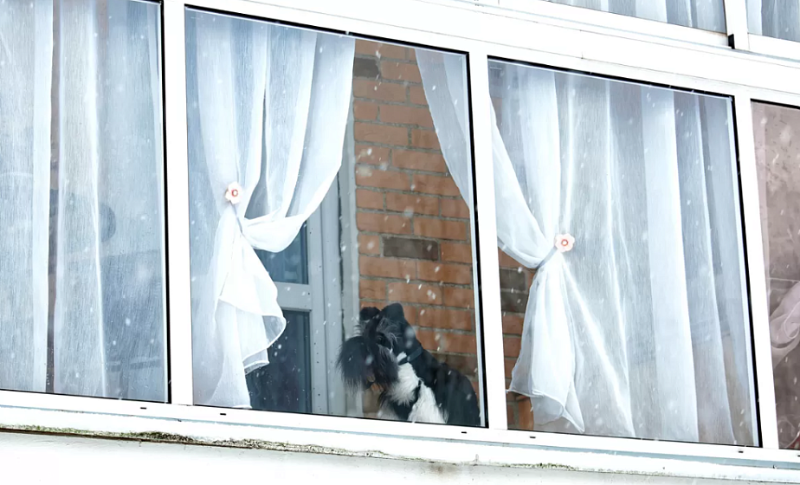 Велосипед, шины, пакет с мусором. Что нельзя хранить на балконах и лоджиях