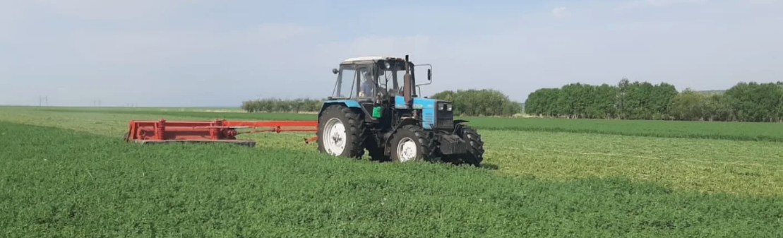 Новогрудские аграрии приступают к кормозаготовке 