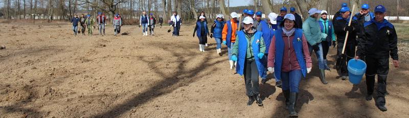 В рамках акции «Сад памяти» на территории Любчанского сыродельного цеха высадили тысячу плодовых деревьев