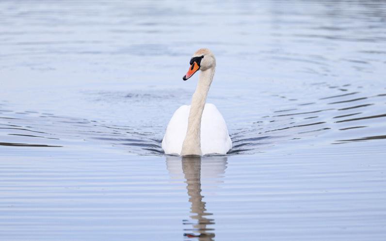 Погода в Беларуси 30 марта: переменная облачность, без осадков и до +18 °С