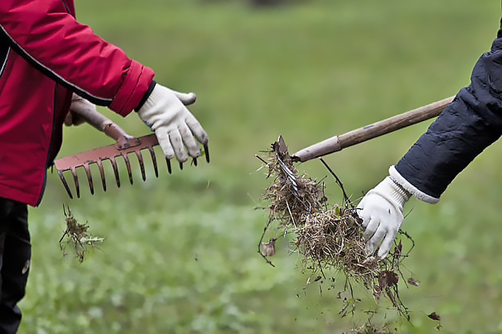 На территории Новогрудского района проходит месячник по наведению порядка 