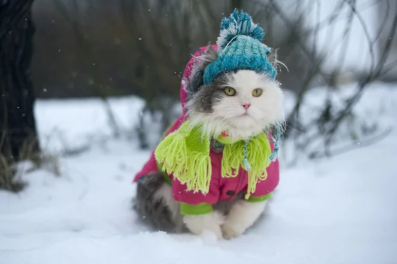 До -26°C и без осадков. Погода на Гродненщине 3 февраля