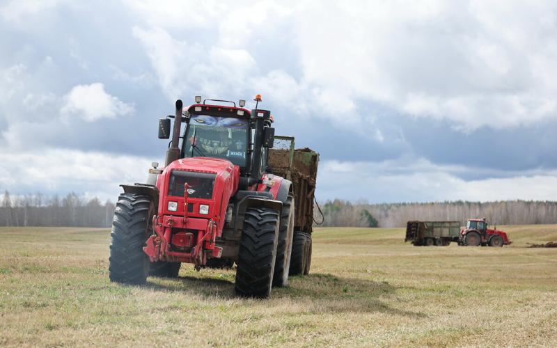 В Белгидромете рассказали о состоянии посевов
